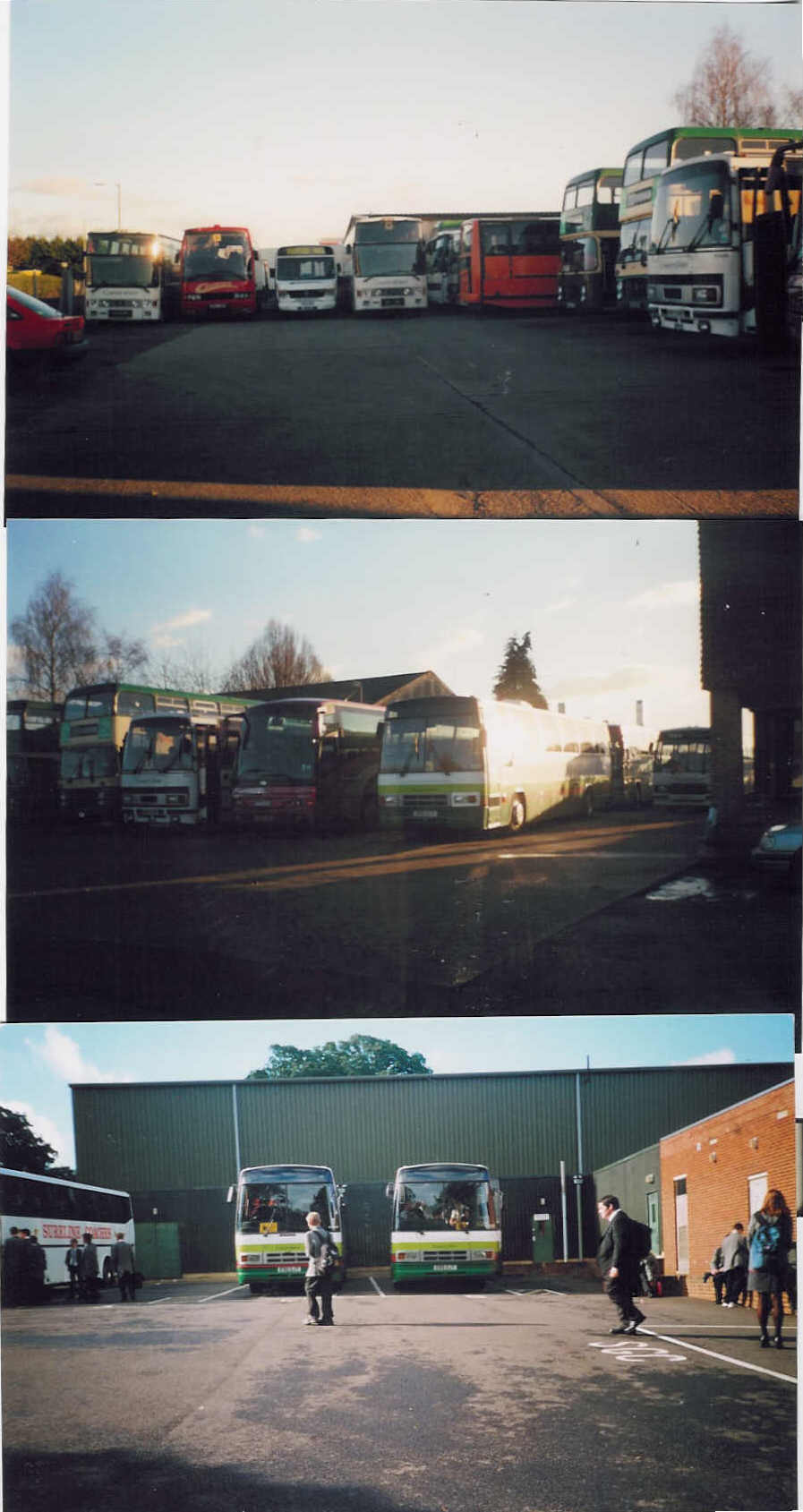 countrylinercollagepics.jpg