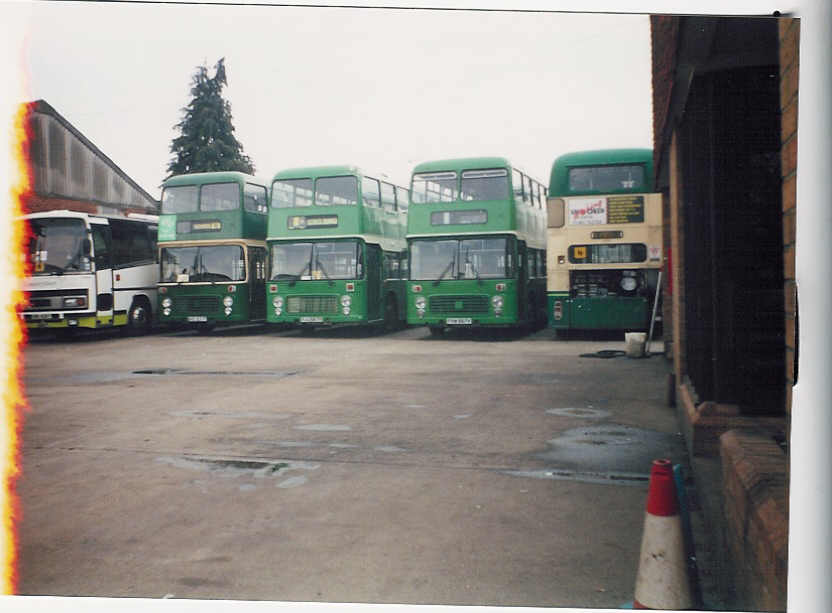 dd1234.jpg